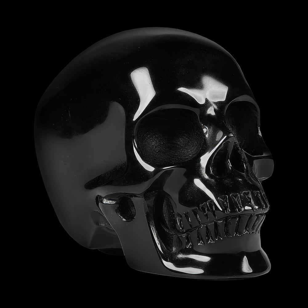 
                      
                        Black Skull Memoire by CRUCIFIX
                      
                    