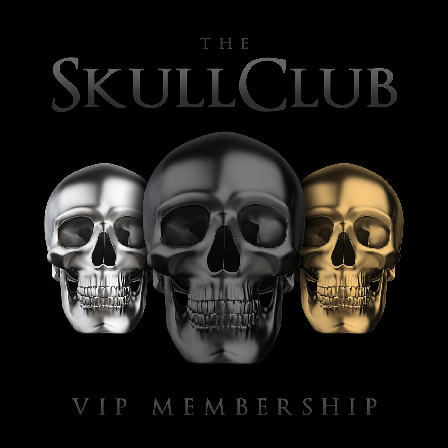 VIP Membership