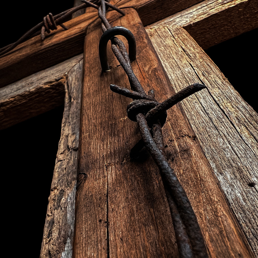 
                      
                        Tennessee Hills by CRUCIFIX
                      
                    